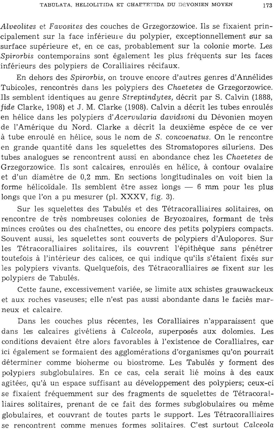 Les Spirorbis contemporains sont ég al ement les plus fré quents sur les faces inférieurs des polypiers de Coralliaires récifaux.