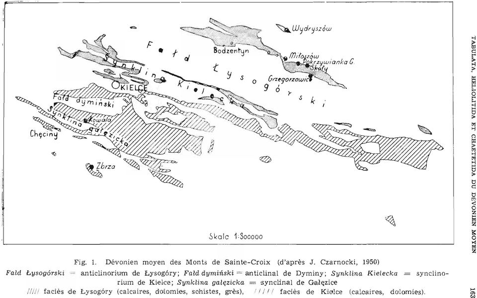 .ysogors ki = anticlinorium de Lysog ôry ; Fald dyminski = anticlinal de Dyminy; Synklina K iel ecka = syncli no r ium de KieLce