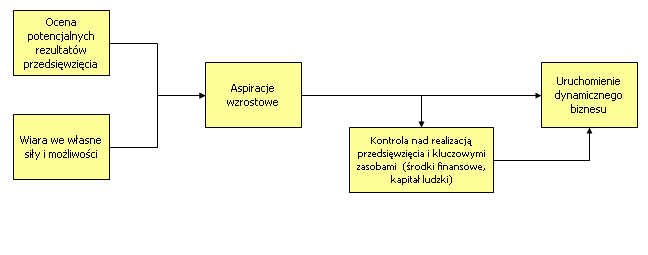 Motywy inicjowania dynamicznego biznesu Przedsiębiorczy styl zarządzania Polowanie na okazje Ciągłe poszukiwanie okazji Identyfikacja okazji, tzw.