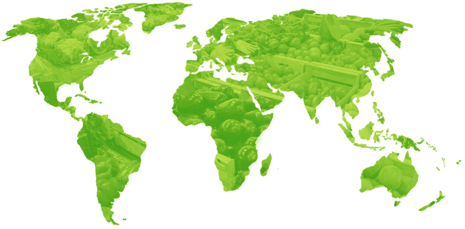 Globalne wyzwania dla rolnictwa GLOBALNA PRODUKCJA ŻYWNOŚCI POPULACJA LUDZI Dziś mamy 7,3 mld ludzi na Świecie ZMIANY W STRUKTURZE SPOŻYCIA 3 rok 2050 ZMIANY