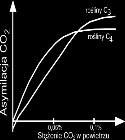 Rośliny C3 i C4 inaczej reagują na zmiany stężenia CO 2 w atmosferze.