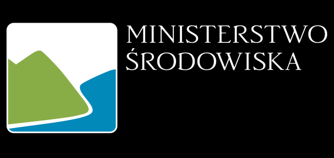 DZIĘKUJĘ ZA UWAGĘ ul. Wawelska 52/54 00-922 Warszawa www.mos.gov.