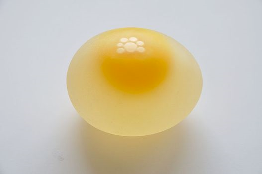 U laboranta By pozbawić surowe jajo skorupki i zamienić go w gumowe należy umieścić je w wysokim, szklanym naczyniu z octem kuchennym.