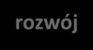 Wyzwania definicyjne zrównoważony i trwały rozwój identyfikacja obiektu, który podlega definiowaniu, wraz z określeniem jego charakteru; określenie warunków i wymagań stawianych definicjom i