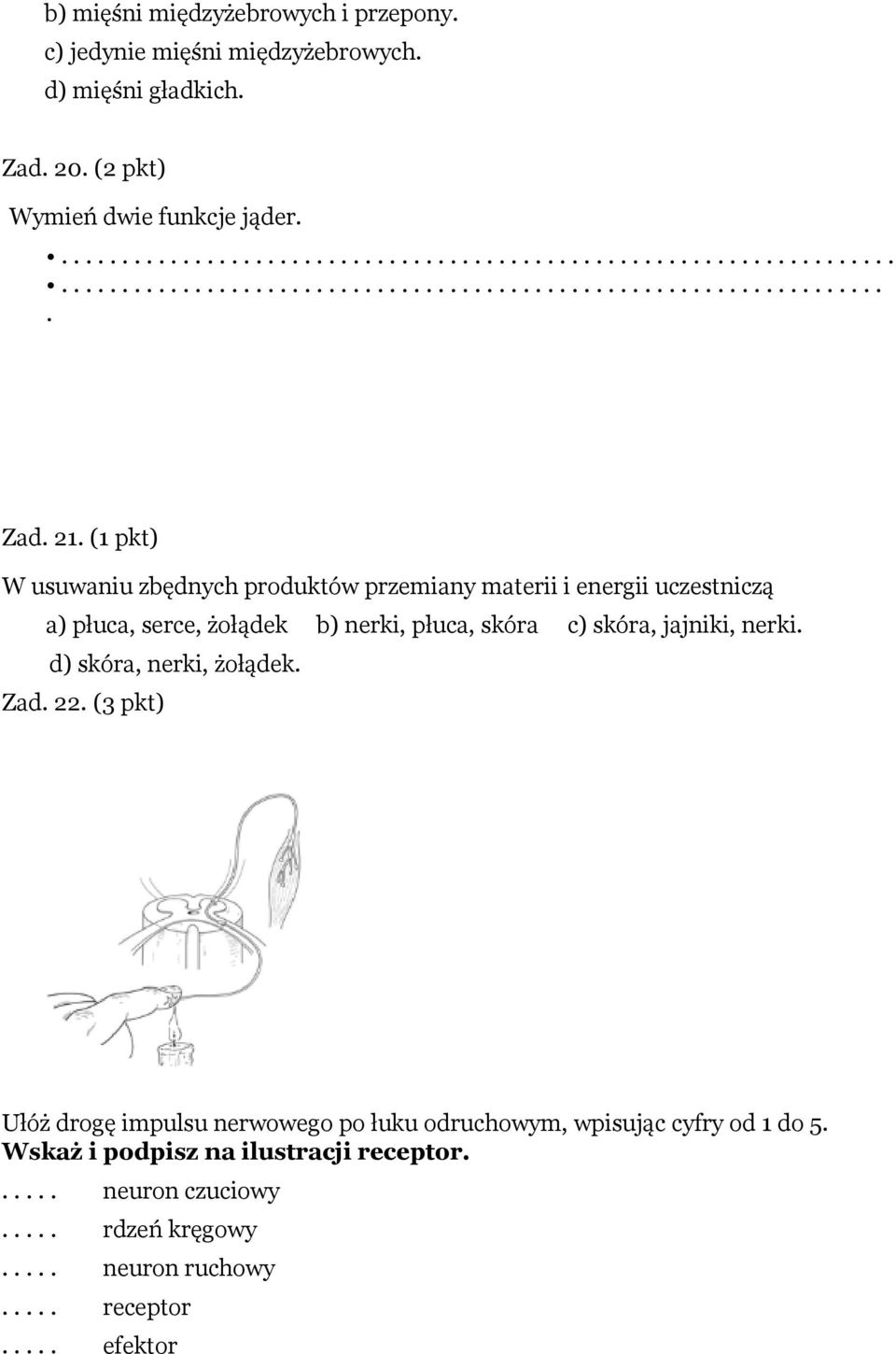 d) skóra, nerki, żołądek. Zad. 22. (3 pkt) Ułóż drogę impulsu nerwowego po łuku odruchowym, wpisując cyfry od 1 do 5. Wskaż i podpisz na ilustracji receptor.