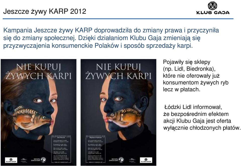 Dzięki działaniom Klubu Gaja zmieniają się przyzwyczajenia konsumenckie Polaków i sposób sprzedaży karpi.