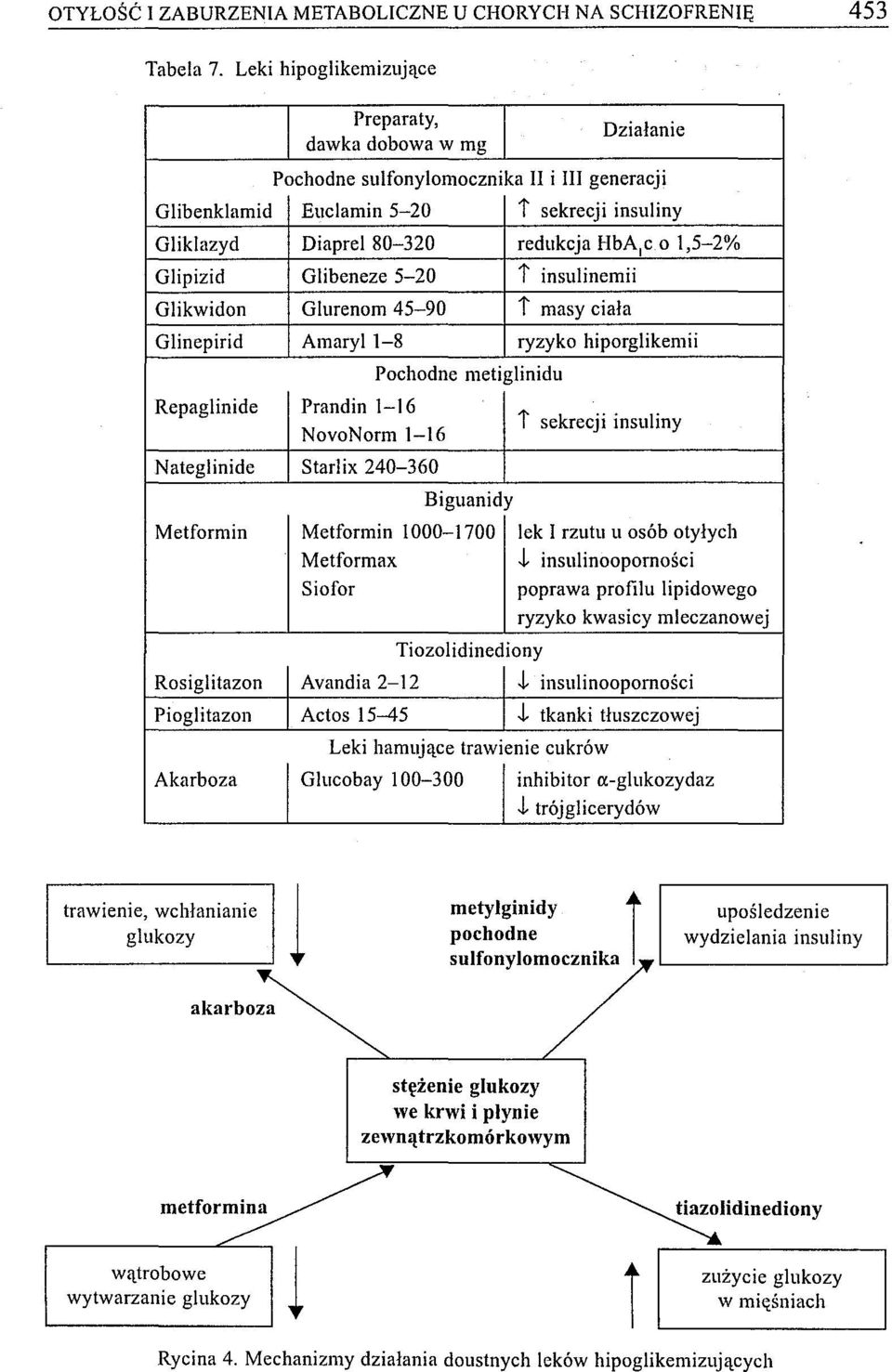 01,5-2% Glipizid Glibeneze 5-20 t insulinemii Glikwidon Glurenom 45-90 t masy ciała Glinepirid Amaryll-8 ryzyko hiporglikemii Repaglinide Prandin 1-16 NovoNorm 1-16 Nateglinide Starlix 240-360