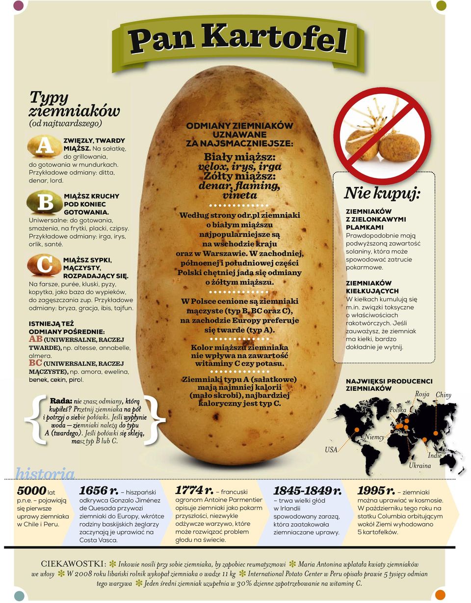 Na farsze, purée, kluski, pyzy, kopytka, jako baza do wypieków, do zagęszczania zup. Przykładowe odmiany: bryza, gracja, ibis, tajfun.