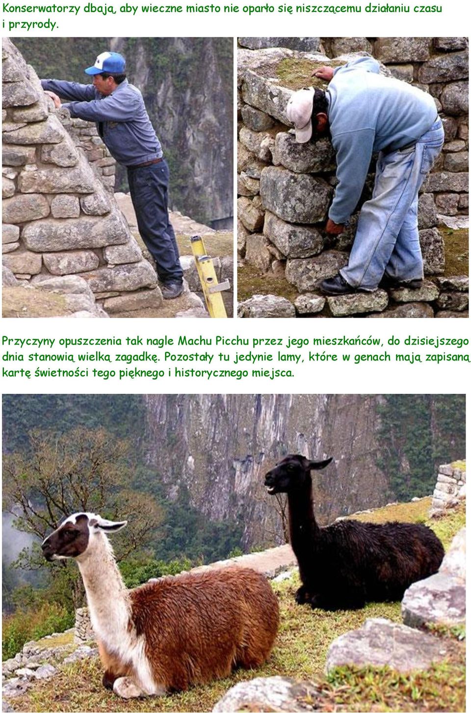 Przyczyny opuszczenia tak nagle Machu Picchu przez jego mieszkańców, do