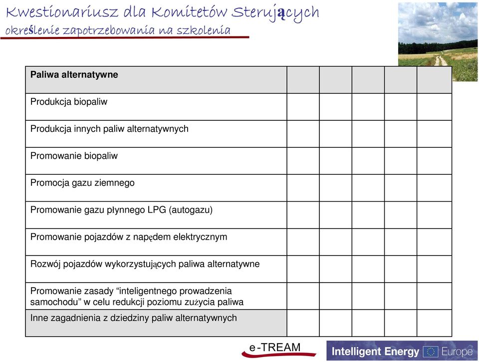 (autogazu) Promowanie pojazdów z napędem elektrycznym Rozwój pojazdów wykorzystujących paliwa alternatywne Promowanie