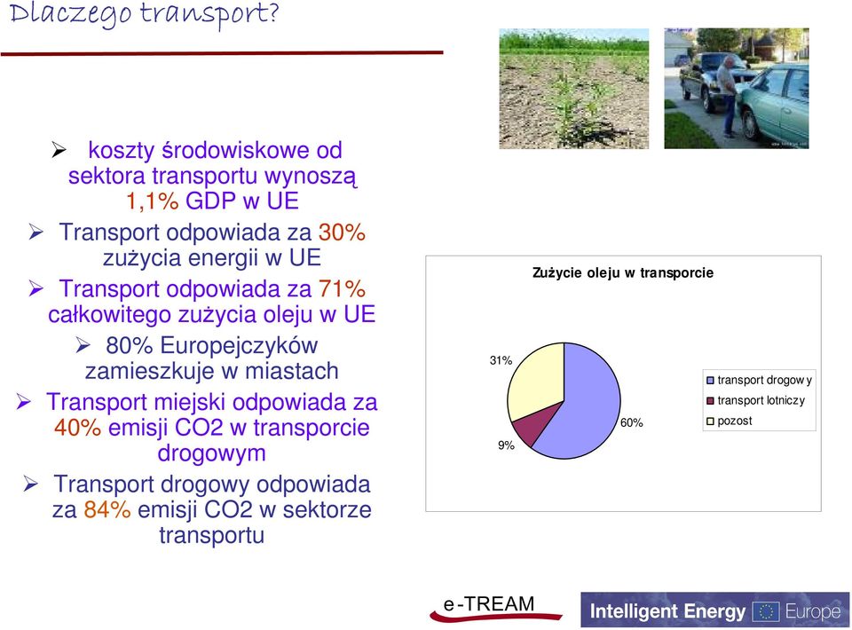 Transport odpowiada za 7% całkowitego zużycia oleju w UE 80% Europejczyków zamieszkuje w miastach Transport