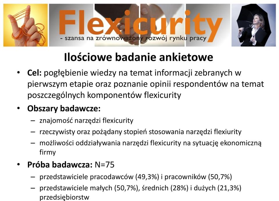 pożądany stopieo stosowania narzędzi flexiurity możliwości oddziaływania narzędzi flexicurity na sytuację ekonomiczną firmy Próba