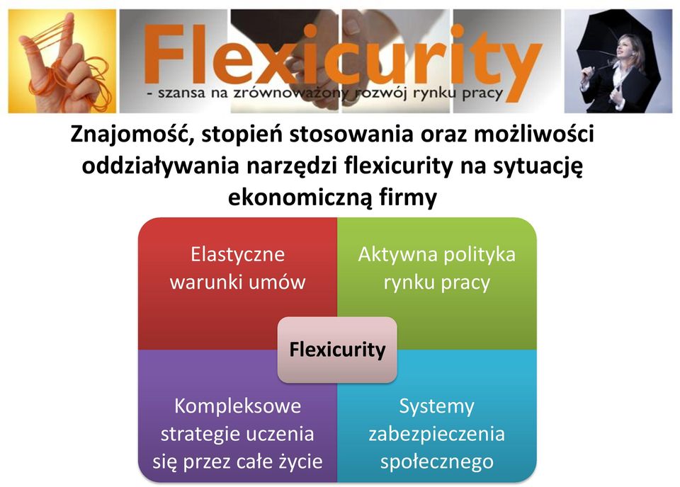 warunki umów Aktywna polityka rynku pracy Flexicurity Kompleksowe