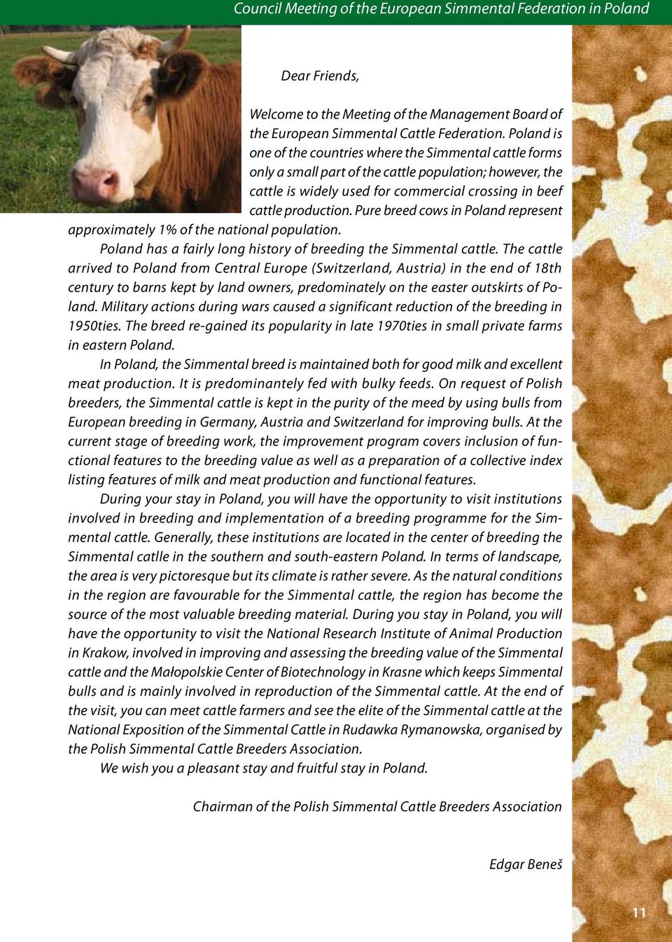 Pure breed cows in Poland represent approximately 1% of the national population. Poland has a fairly long history of breeding the Simmental cattle.