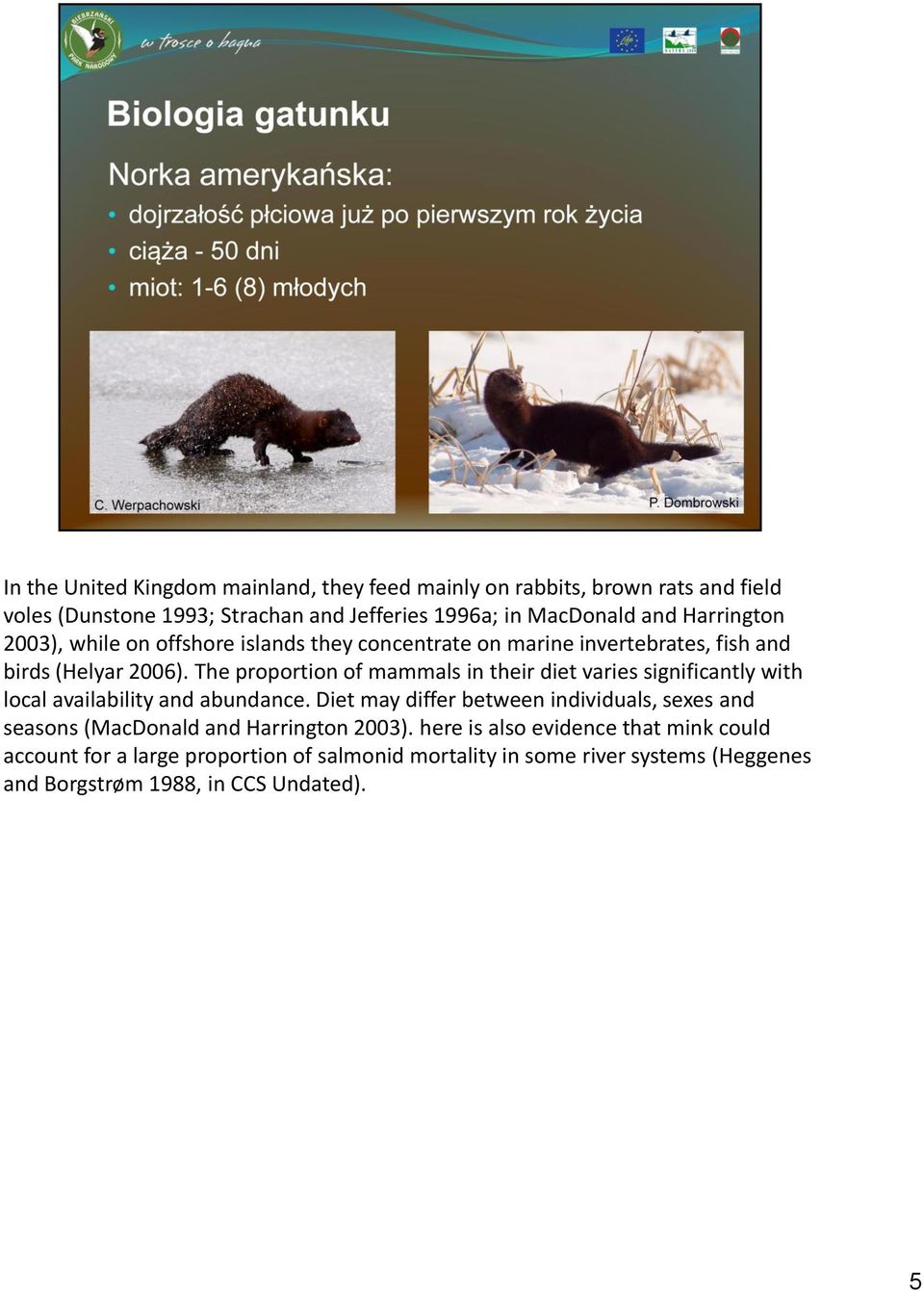 The proportion of mammals in their diet varies significantly with local availability and abundance.