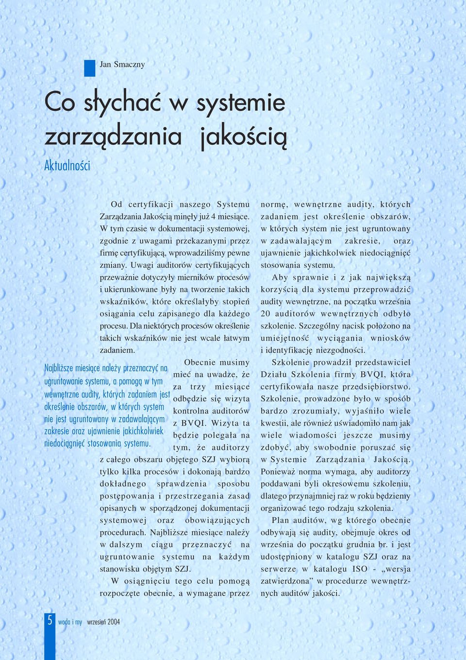 Uwagi auditorów certyfikuj¹cych przewa nie dotyczy³y mierników procesów i ukierunkowane by³y na tworzenie takich wskaÿników, które okreœla³yby stopieñ osi¹gania celu zapisanego dla ka dego procesu.