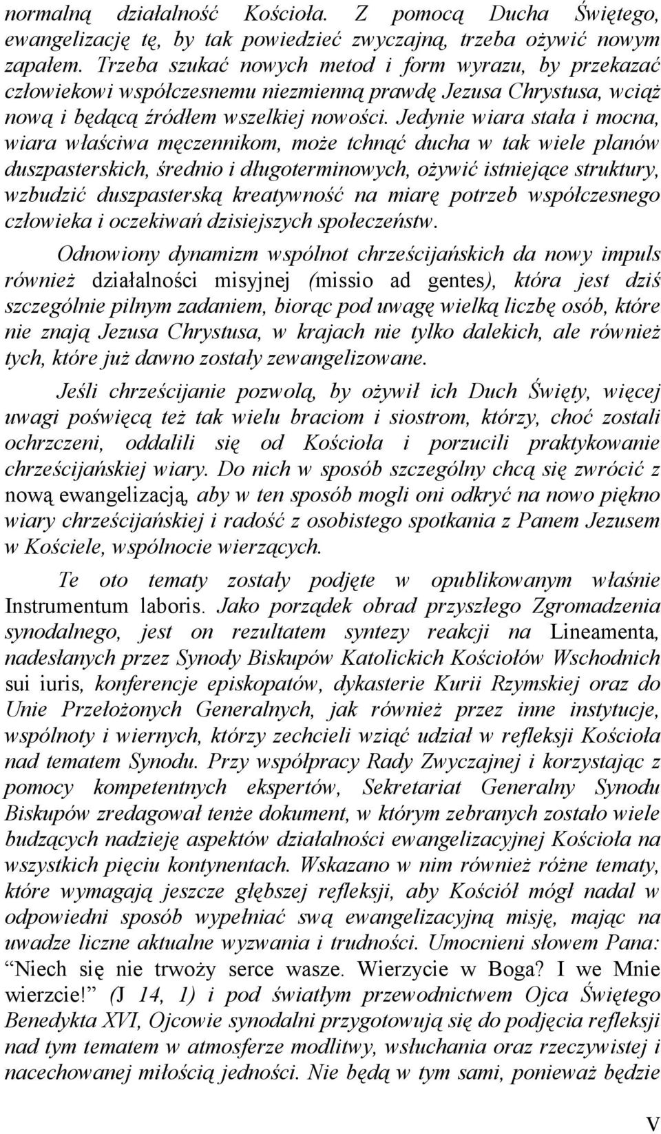 Jedynie wiara stała i mocna, wiara właściwa męczennikom, może tchnąć ducha w tak wiele planów duszpasterskich, średnio i długoterminowych, ożywić istniejące struktury, wzbudzić duszpasterską