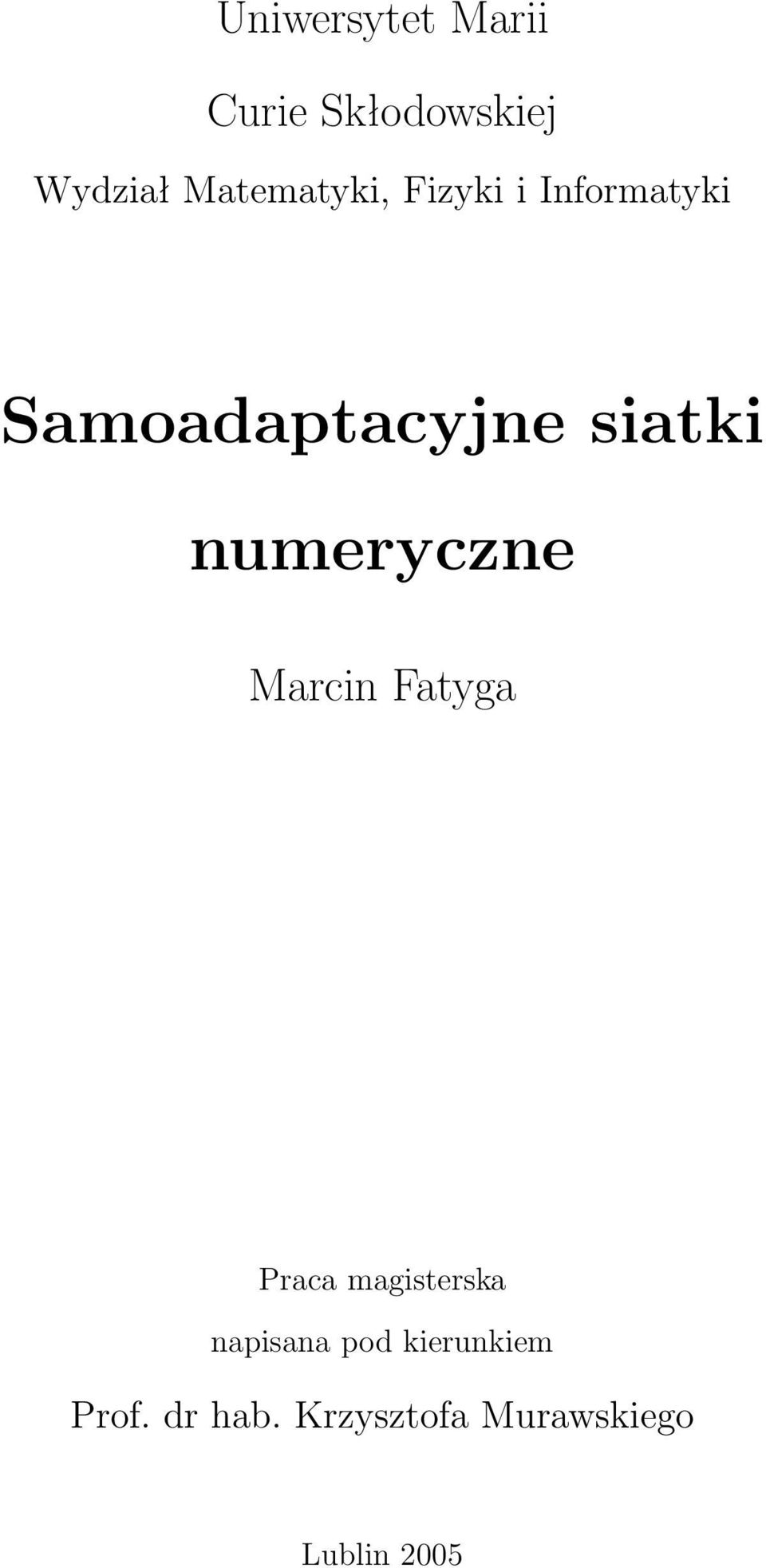 siatki numeryczne Marcin Fatyga Praca magisterska