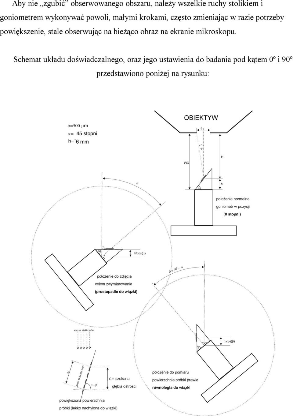 stale obserwując na bieżąco obraz na ekranie mikroskopu.