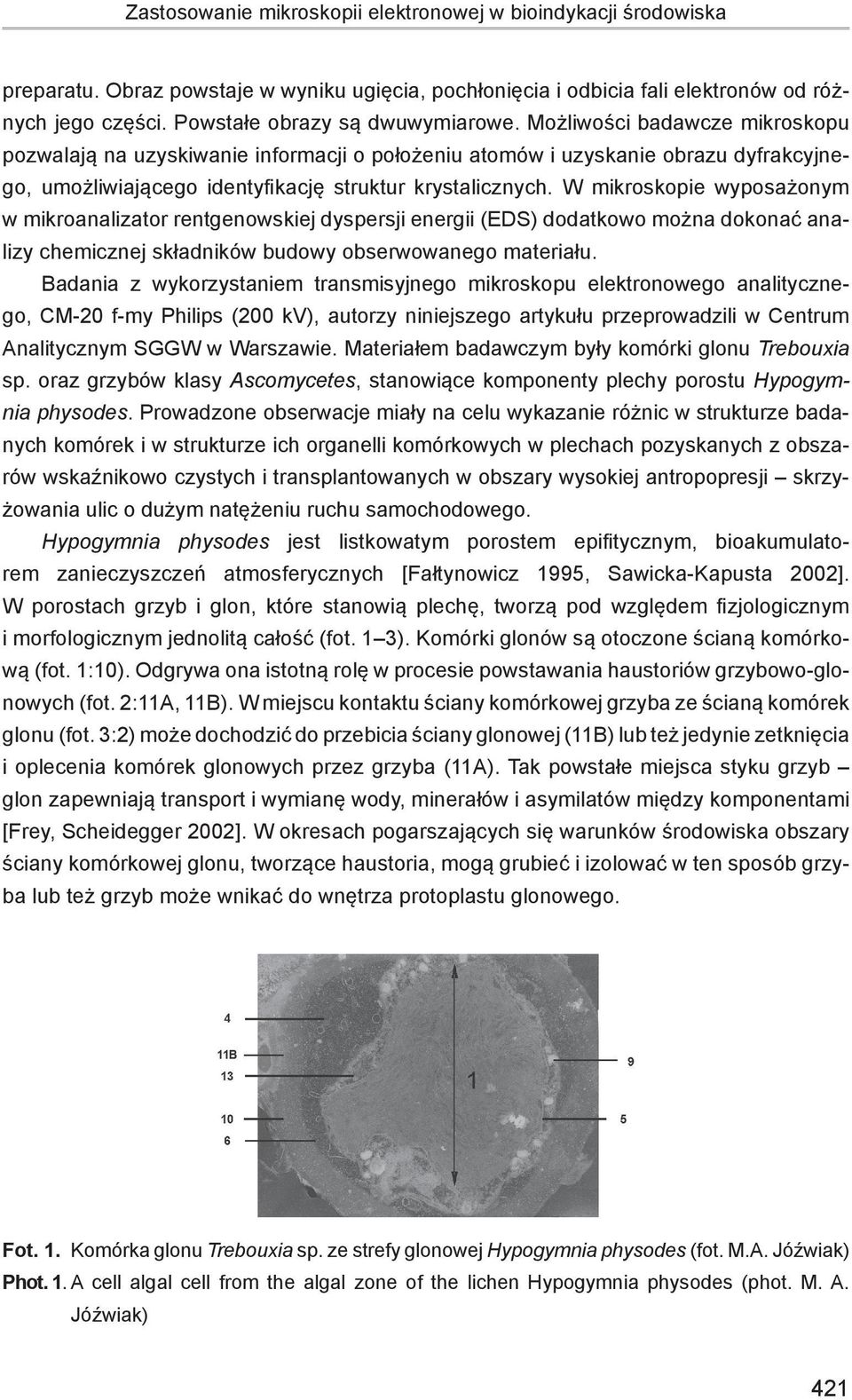 Możliwości badawcze mikroskopu pozwalają na uzyskiwanie informacji o położeniu atomów i uzyskanie obrazu dyfrakcyjnego, umożliwiającego identyfikację struktur krystalicznych.