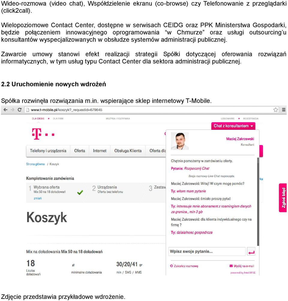 outsourcing u konsultantów wyspecjalizowanych w obsłudze systemów administracji publicznej.