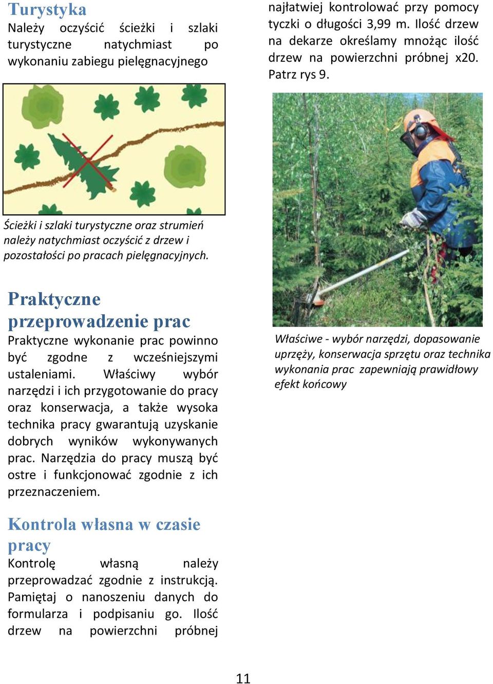 Ścieżki i szlaki turystyczne oraz strumieo należy natychmiast oczyścid z drzew i pozostałości po pracach pielęgnacyjnych.