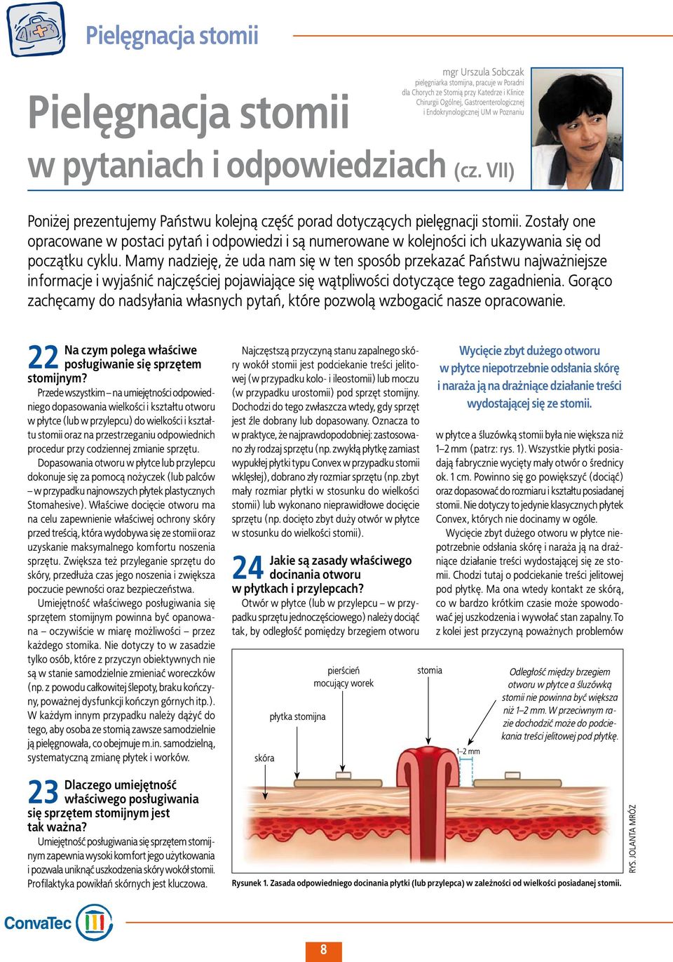 Zostały one opracowane w postaci pytań i odpowiedzi i są numerowane w kolejności ich ukazywania się od początku cyklu.