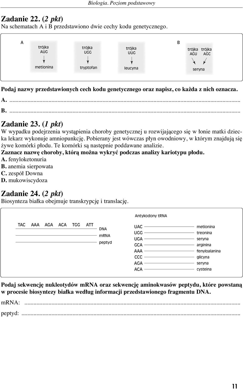 (1 pkt) W wypadku podejrzenia wystàpienia choroby genetycznej u rozwijajàcego si w onie matki dziecka lekarz wykonuje amniopunkcj.