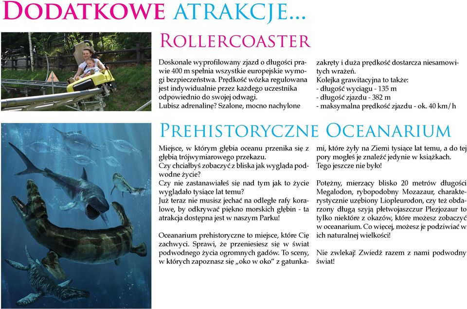 Szalone, mocno nachylone Oceanarium prehistoryczne to miejsce, które Cię zachwyci. Sprawi, że przeniesiesz się w świat podwodnego życia ogromnych gadów.