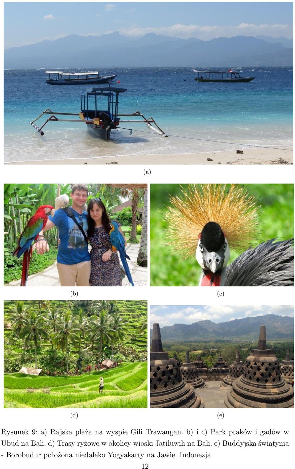 d) Trasy ryżowe w okolicy wioski Jatiluwih na Bali.