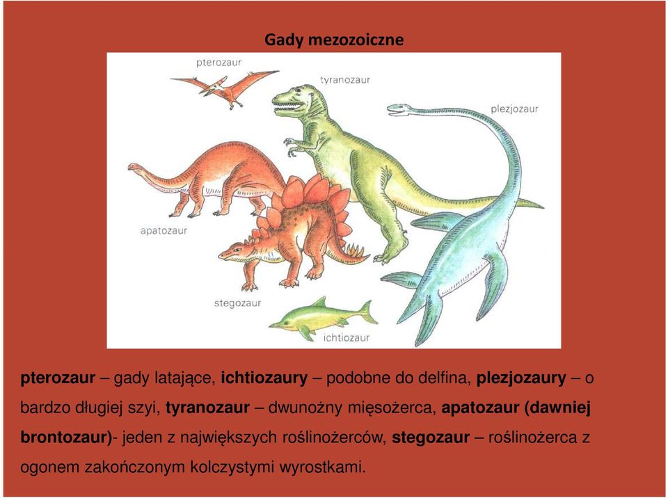 mięsożerca, apatozaur (dawniej brontozaur)- jeden z największych