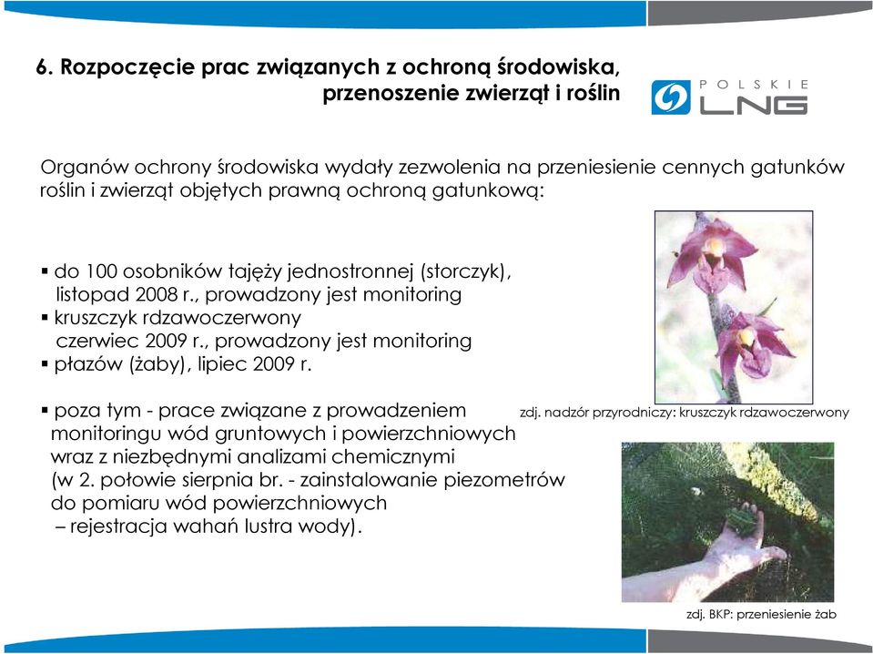 , prowadzony jest monitoring płazów (Ŝaby), lipiec 2009 r. poza tym - prace związane z prowadzeniem zdj.