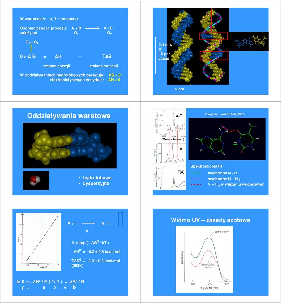 warstowe A+T Kyogoku, Lord & Rich, 1967; Wavenumber (cm -1 ) A hydrofobowe dyspersyjne T(U) Spektroskopia IR swobodne N - H swobodne N H 2 N H 2 w