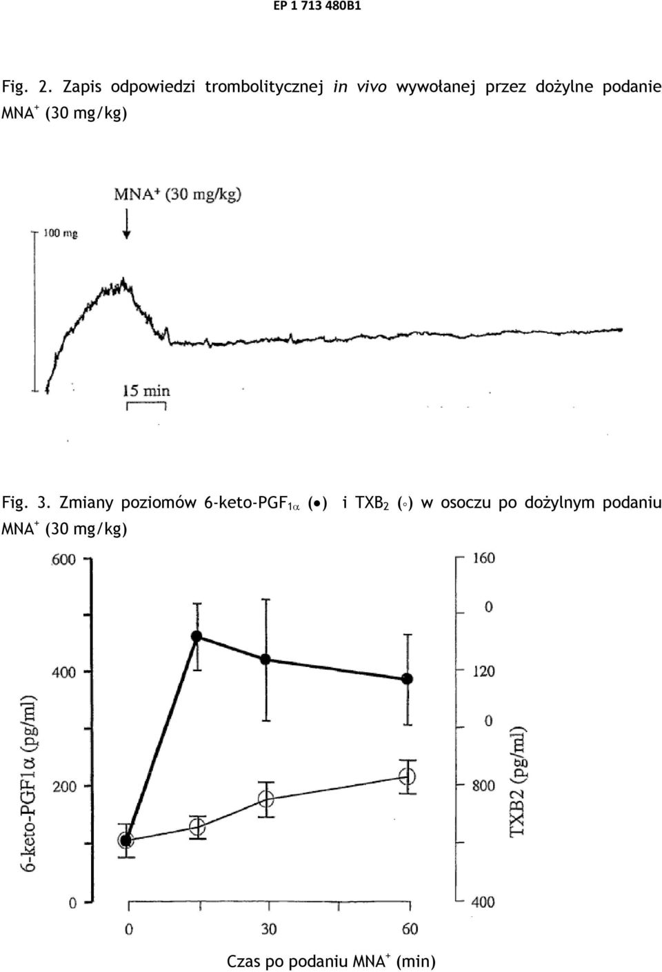przez dożylne podanie MNA + (30 mg/kg) Fig. 3.