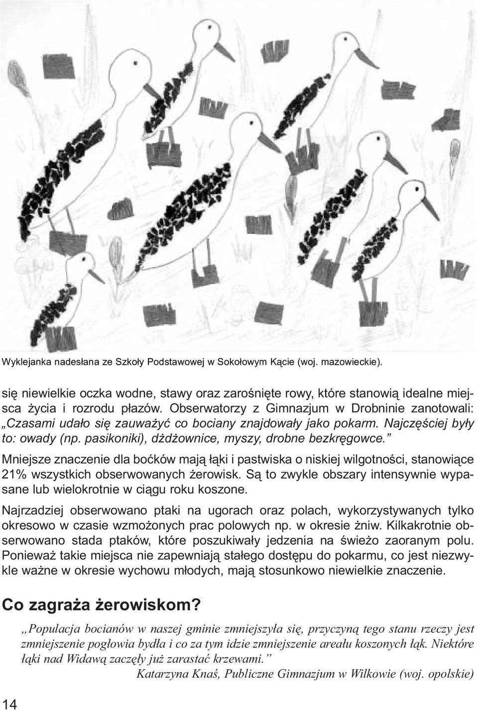 Mniejsze znaczenie dla boćków mają łąki i pastwiska o niskiej wilgotności, stanowiące 21% wszystkich obserwowanych żerowisk.