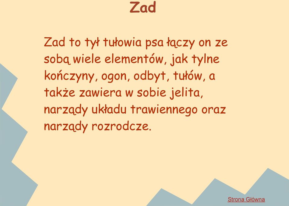 odbyt, tułów, a także zawiera w sobie jelita,