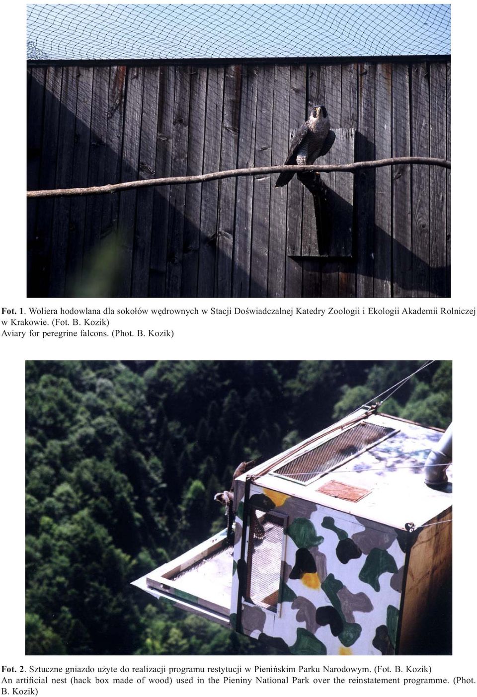 Rolniczej w Krakowie. (Fot. B. Kozik) Aviary for peregrine falcons. (Phot. B. Kozik) Fot. 2.