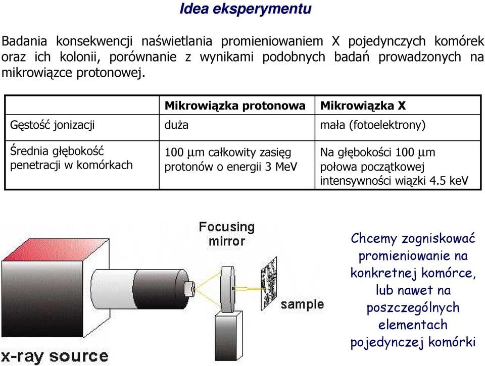 Gęstość jonizacji Średnia głębokość penetracji w komórkach Mikrowiązka protonowa duŝa 100 µm całkowity zasięg protonów o energii 3 MeV