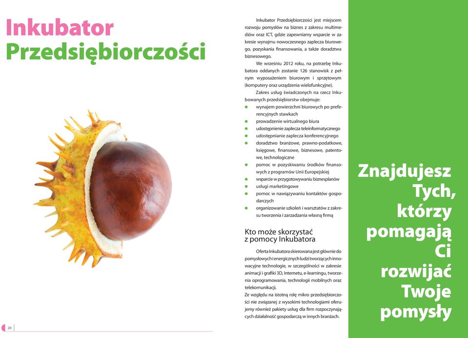 We wrześniu 2012 roku, na potrzebę Inkubatora oddanych zostanie 126 stanowisk z pełnym wyposażeniem biurowym i sprzętowym (komputery oraz urządzenia wielofunkcyjne).