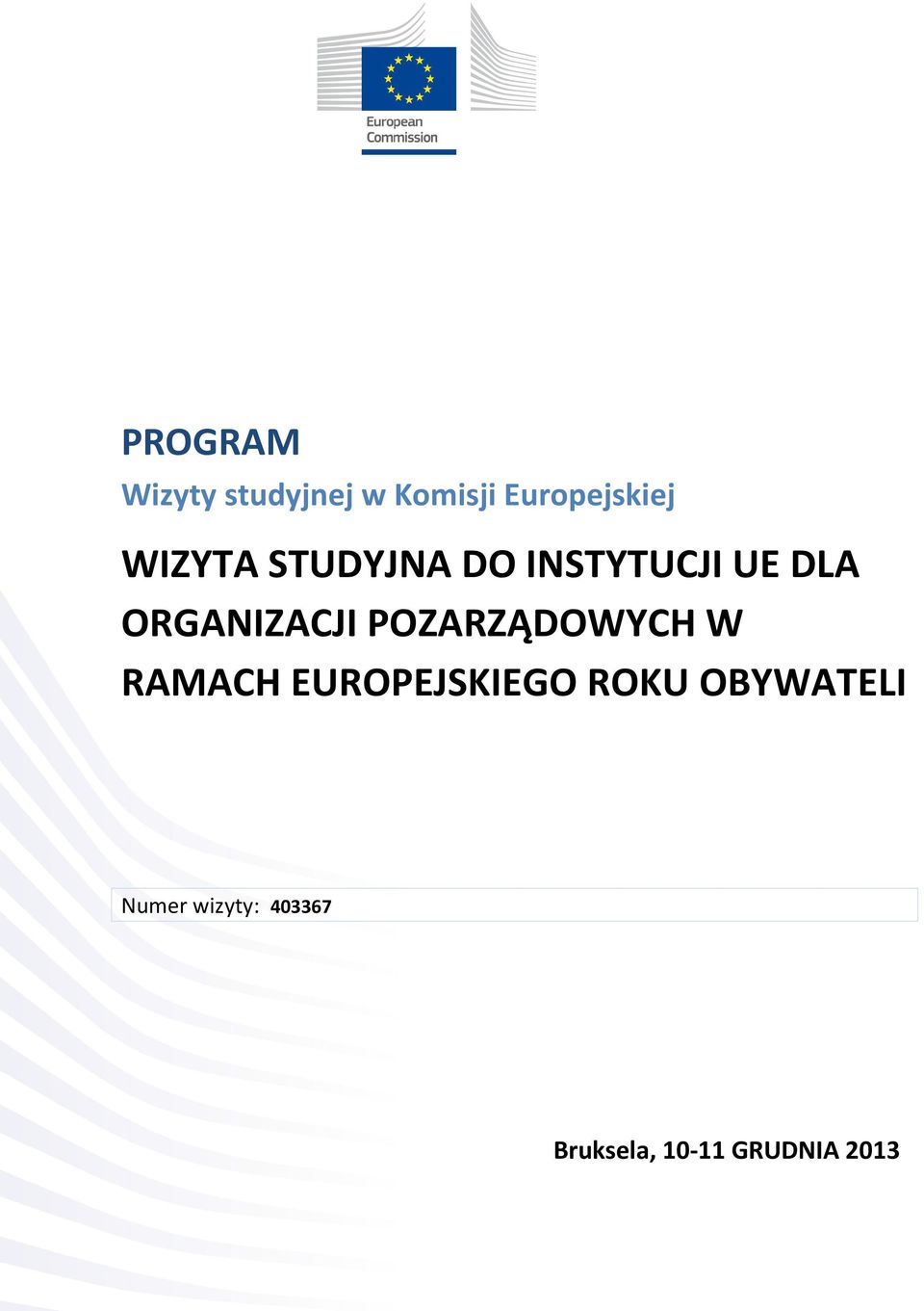 POZARZĄDOWYCH W RAMACH EUROPEJSKIEGO ROKU