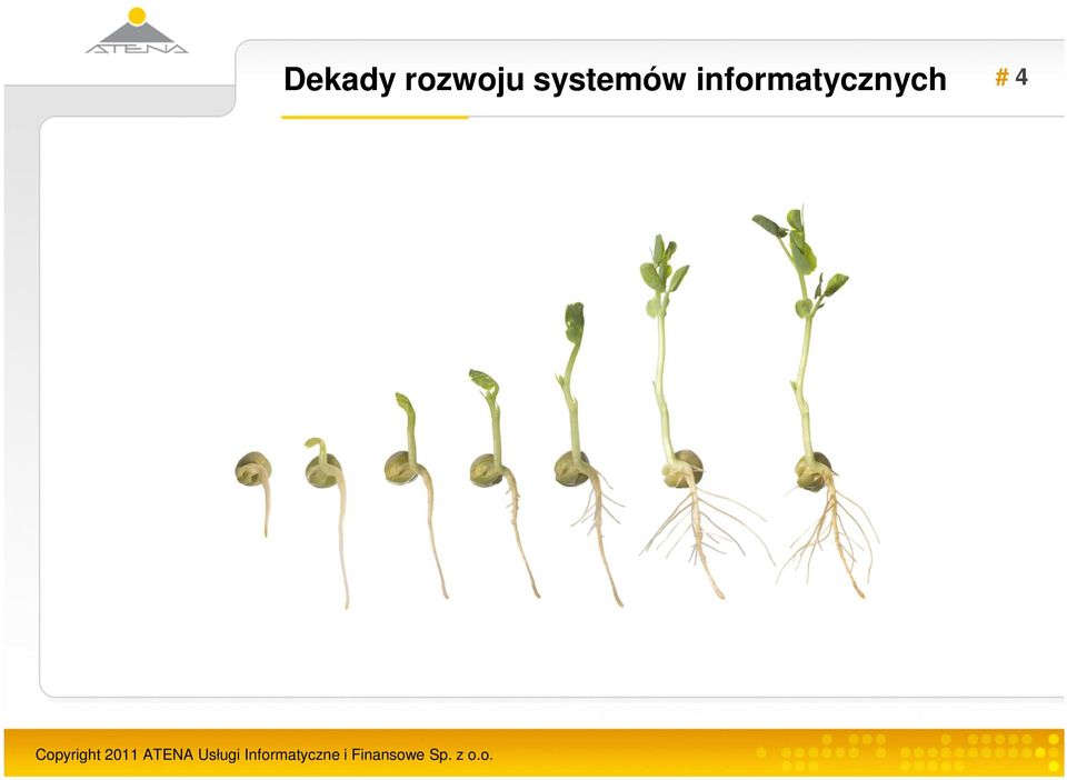 systemów