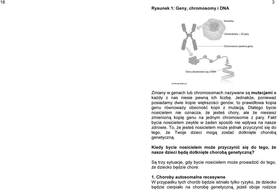 Dlatego bycie nosicielem nie oznacza, że jesteś chory, ale że niesiesz zmienioną kopię genu na jednym chromosomie z pary. Fakt bycia nosicielem zwykle w żaden sposób nie wpływa na nasze zdrowie.