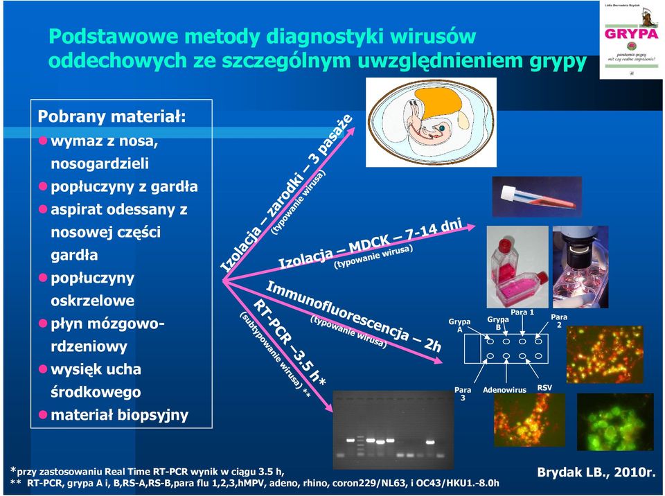 ucha środkowego materiał biopsyjny Grypa A Para 3 Para 1 Grypa B Adenowirus RSV Para 2 *przy zastosowaniu Real Time RT-PCR