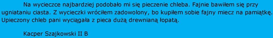 Z wycieczki wróciłem zadowolony, bo kupiłem sobie fajny miecz na