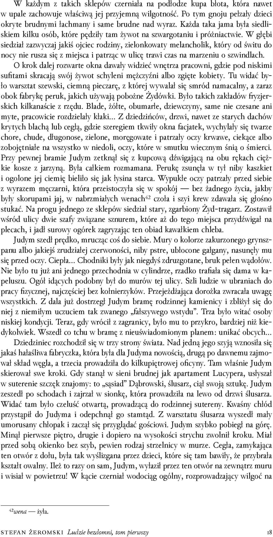 W głębi sieǳiał zazwyczaj jakiś ojciec roǳiny, zielonkowaty melancholik, który od świtu do nocy nie rusza się z miejsca i patrząc w ulicę trawi czas na marzeniu o szwindlach.