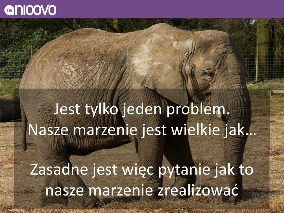 jak Zasadne jest więc pytanie