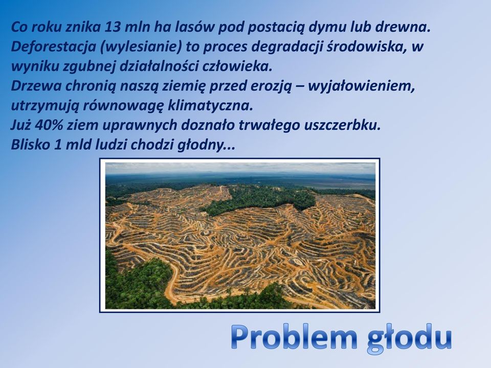 działalności człowieka.