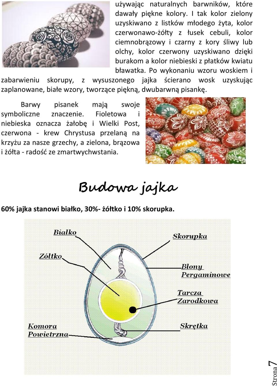 burakom a kolor niebieski z płatków kwiatu bławatka.