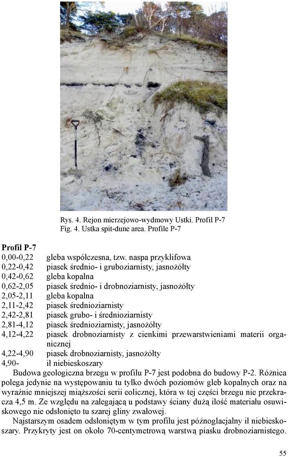 średnioziarnisty 2,42-2,81 piasek grubo- i średnioziarnisty 2,81-4,12 piasek średnioziarnisty, jasnożółty 4,12-4,22 piasek drobnoziarnisty z cienkimi przewarstwieniami materii organicznej 4,22-4,90