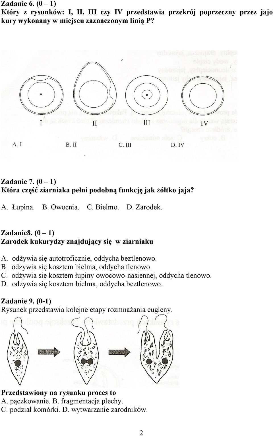 odżywia się autotroficznie, oddycha beztlenowo. B. odżywia się kosztem bielma, oddycha tlenowo. C. odżywia się kosztem łupiny owocowo-nasiennej, oddycha tlenowo. D.